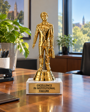 Load image into Gallery viewer, Cornell Accountability Awards